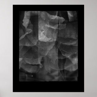 Póster Exercício em continuidade