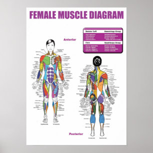 Poster Exercício inspirador