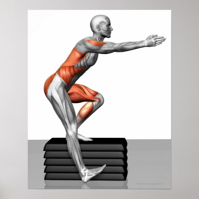 Poster Exercícios de redução gradual (Frente)