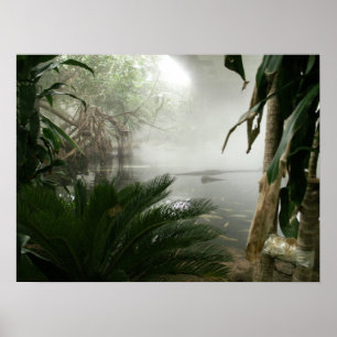 Póster Exibição da floresta húmida do jardim zoológic