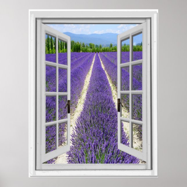 Póster Exibição de Janela Falsa de Campo de lavanda (Frente)