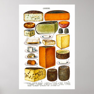 Póster Exibição de Tipos de Queijo