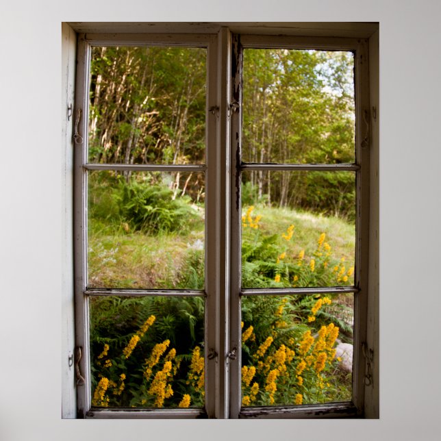 Poster Exibir através da janela antiga (Frente)