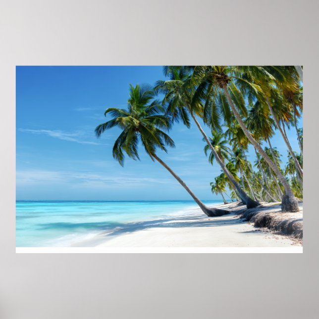 Poster Exotic Palm Beach Turquoise Water Sunny Paradise (Frente)
