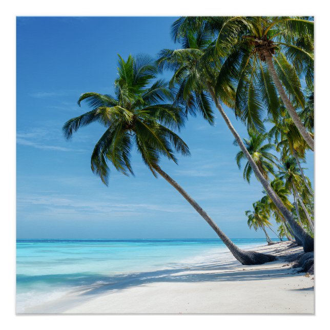 Póster Exotic Palm Beach Turquoise Water Sunny Paradise (Frente)
