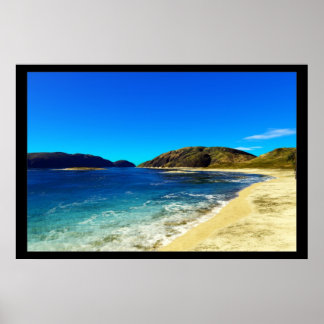 Póster Exótico-Tropical