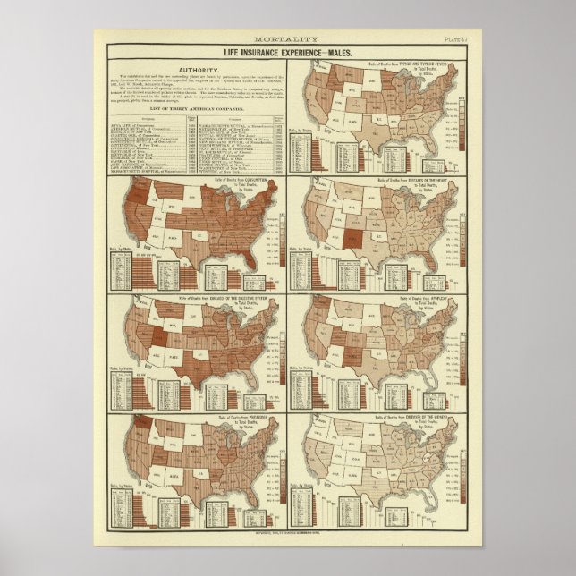 Póster expectativa de vida para os homens (Frente)