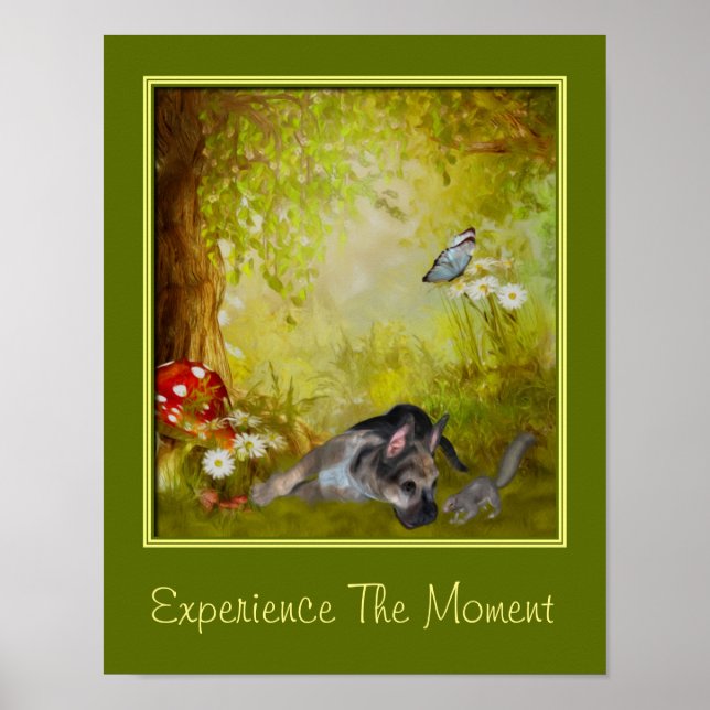 Poster Experiência O Momento Citação Inspiradora Cachorri (Frente)