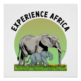 Póster Experimente África