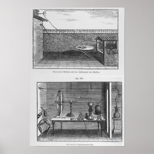 Póster Experimento com sapos de Louis Galvani (Frente)