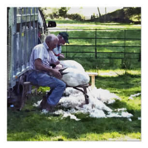 PÓSTER EXPLORAÇÃO