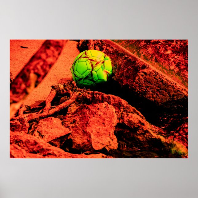 Poster explorador de mosquitos (Frente)