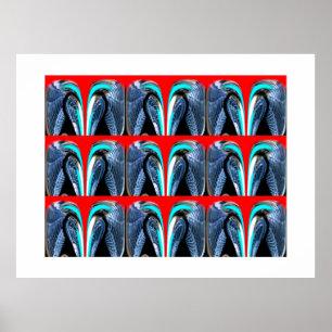 Póster Explorer