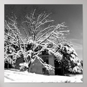 Póster Explosão B do inverno+W