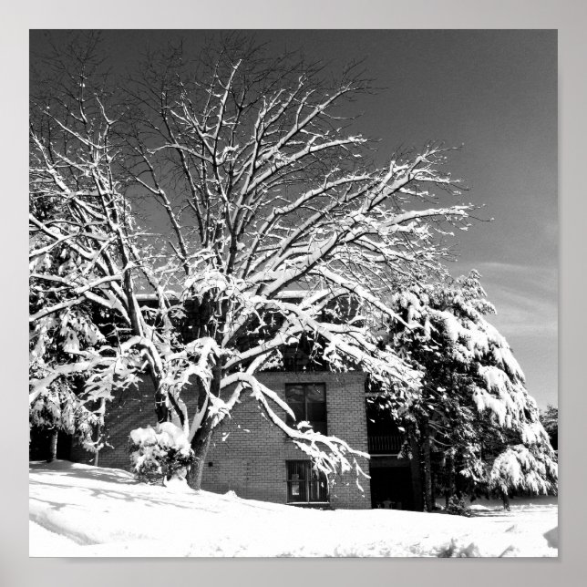 Póster Explosão de inverno B+W (Frente)