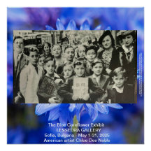 Exposição de Cornflower Azul em Sófia Bulgária