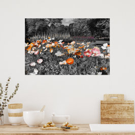 Poster Exposição Floral dos Jardins Botânicos de Ballarat