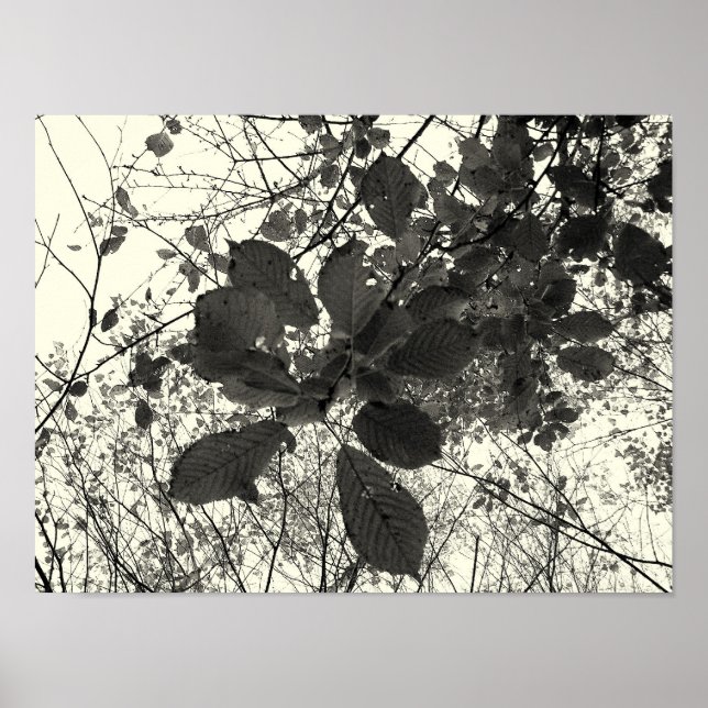 Póster expressão (Frente)