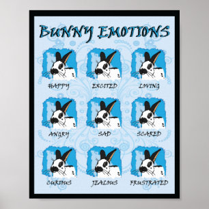 POSTER EXPRESSÕES DE PONTO