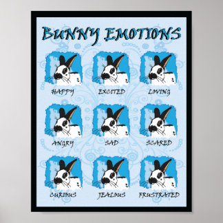 POSTER EXPRESSÕES DE PONTO