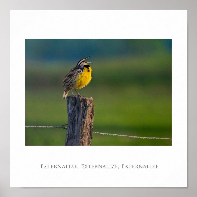 Poster Externalizar, Externalizar, Externalizar (Frente)