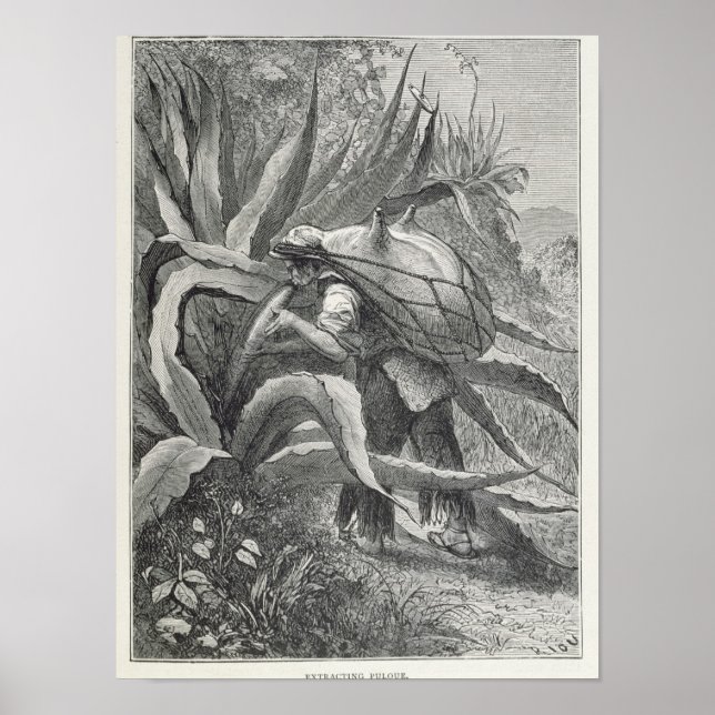 Póster Extraindo pulque (Frente)