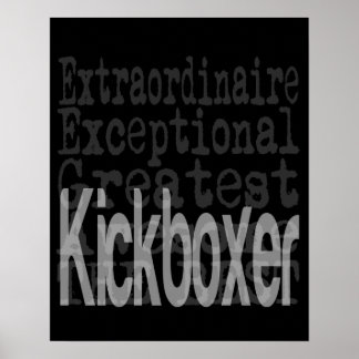 Poster Extraordinário do Kickboxer