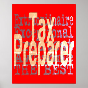 Poster Extraordinário do Preparador Fiscal