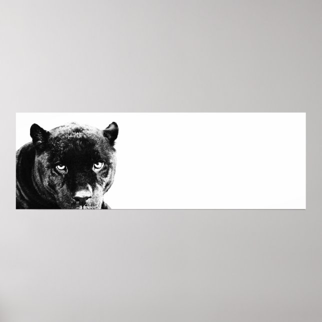 Póster Eyes Jaguar Pop Art (Frente)