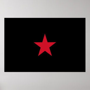 Poster Ezln, Colombia flag