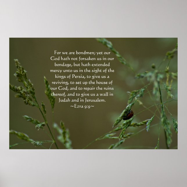 Póster Ezra 9:9 (Frente)