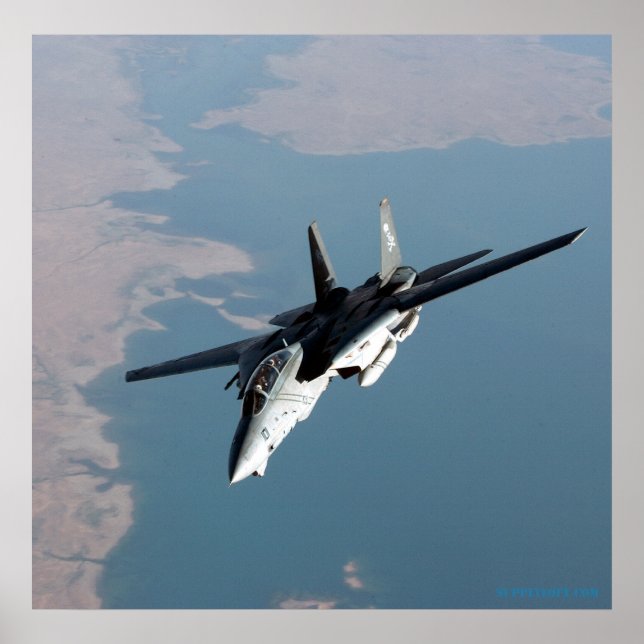 Poster F14 dos Jolly Rodgers (Frente)