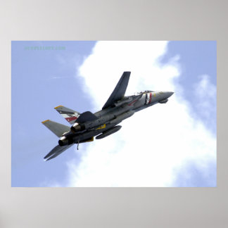 Póster F14 Sobe Skyward