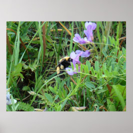 Poster F2 Abelhas em Flores Selvagens Roxas