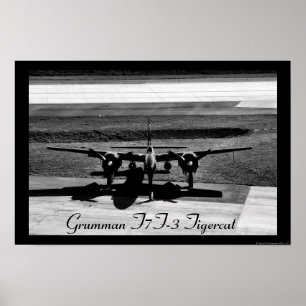 Póster F7F-3 Tigercat Headon