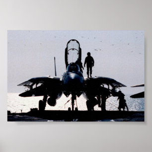 POSTER F-14
