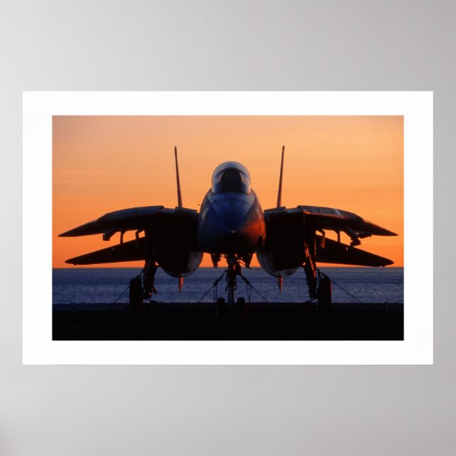 Póster F-14 Tomcat (Frente)