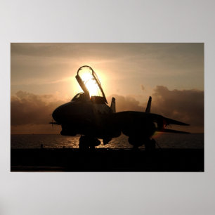 Póster F-14 Tomcat