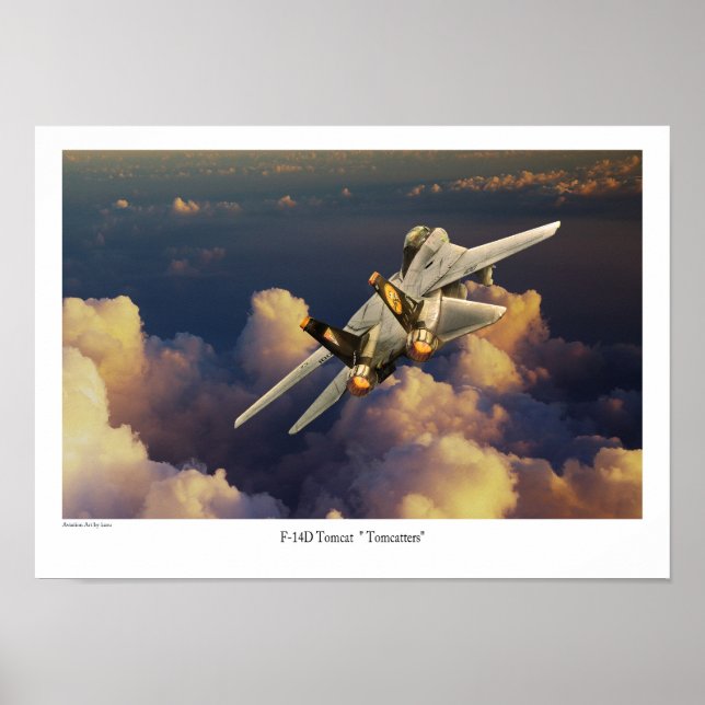 Poster F-14 Tomcat (Frente)