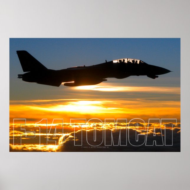 POSTER F-14 TOMCAT (Frente)