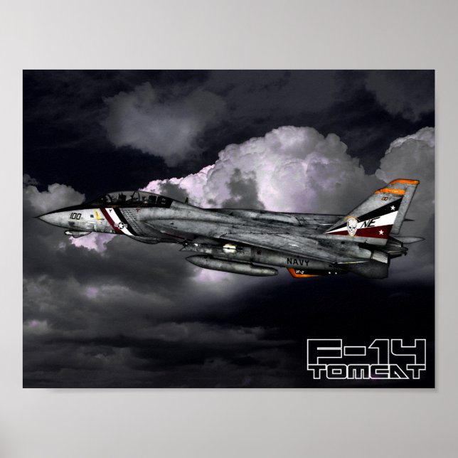 Poster F-14 Tomcat (Frente)