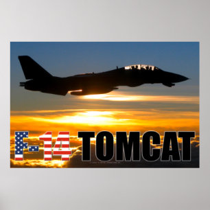 POSTER F-14 TOMCAT