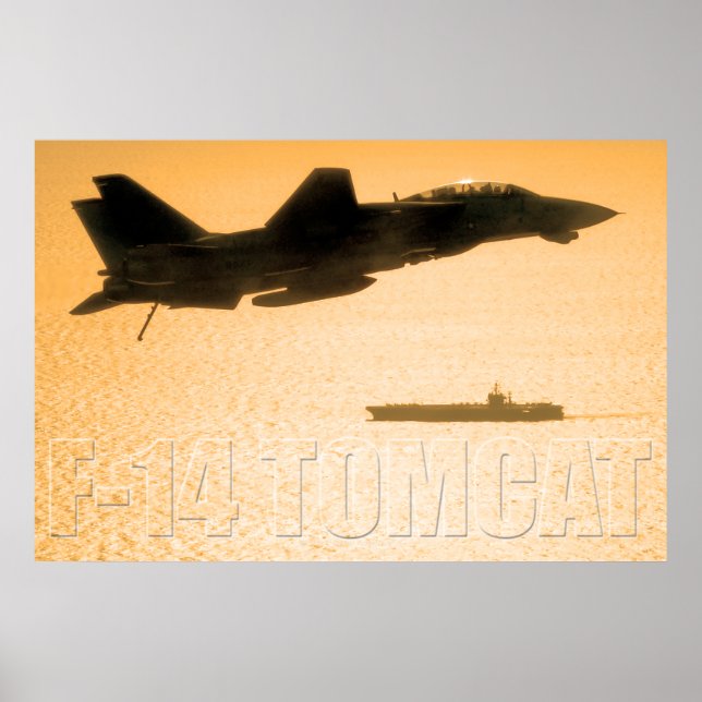 POSTER F-14 TOMCAT (Frente)