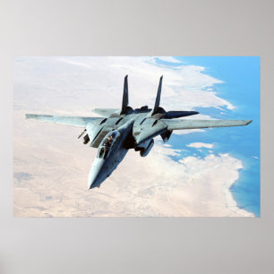 Póster F-14 Tomcat