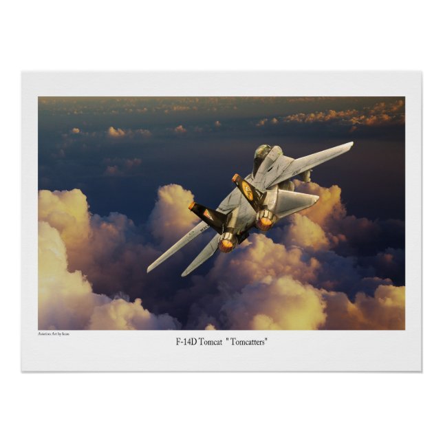 Póster F-14 Tomcat  (Frente)