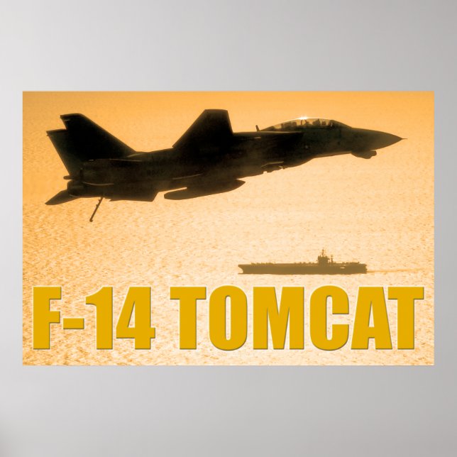 POSTER F-14 TOMCAT (Frente)