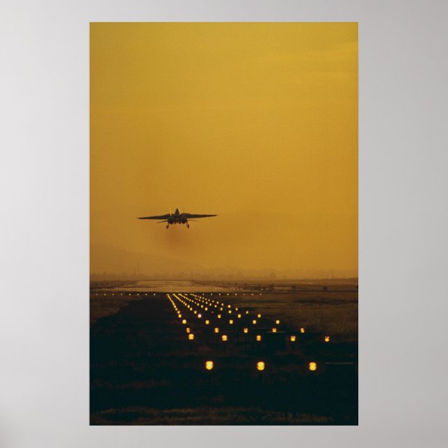 Póster F-14 Tomcat (Frente)