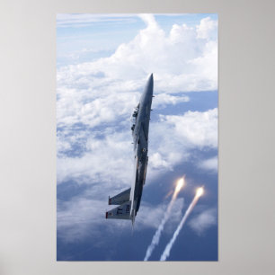 Póster F-15 Águia