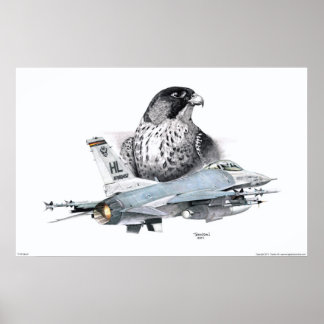 Póster F-16 Falcão e Falcão