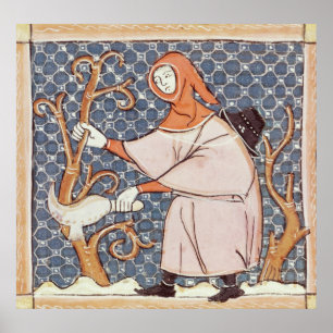 Póster F.58v março: Árvores de poda